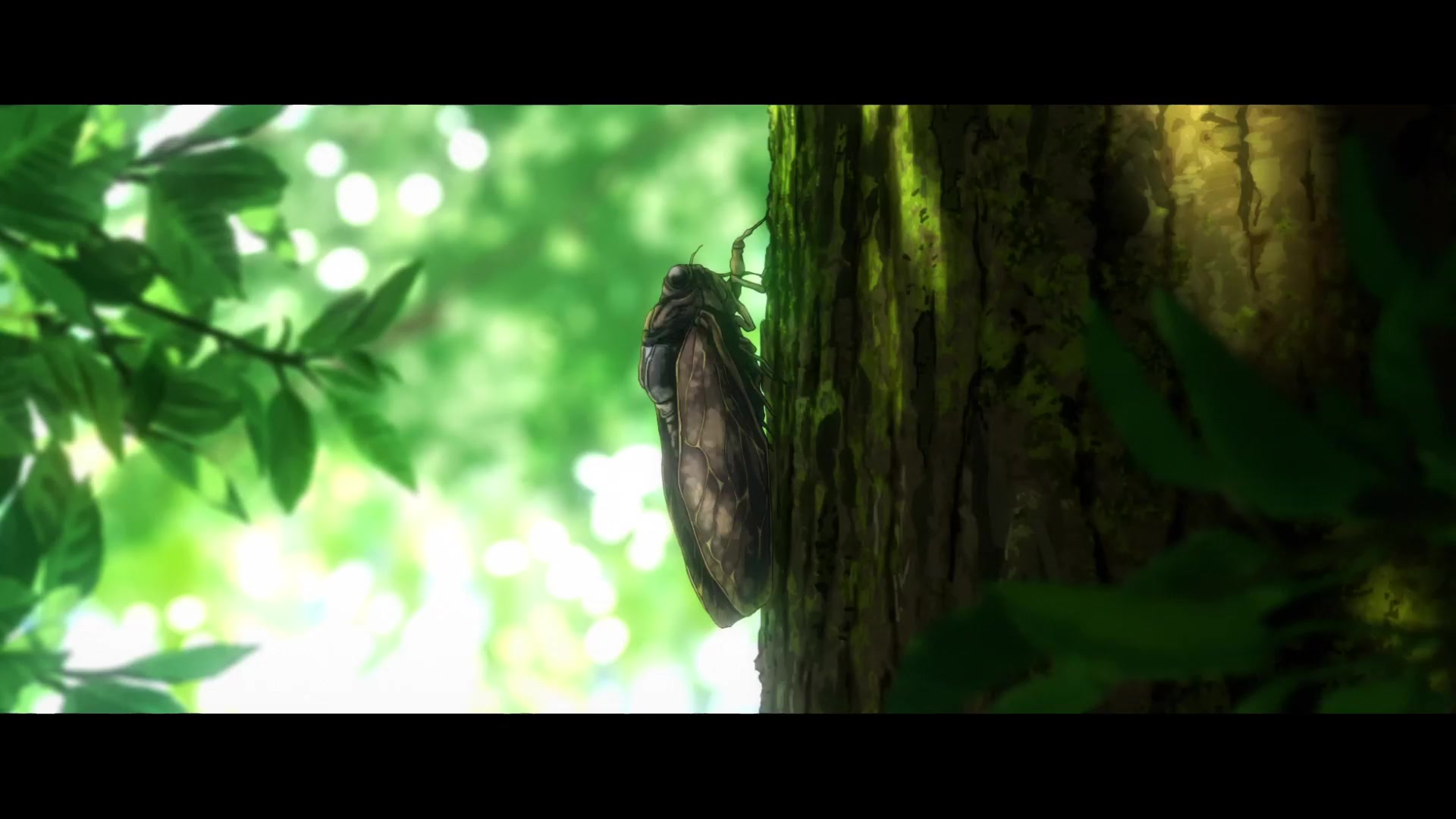 [Tsukyio Editing Resources] Jujutsu Kaisen 0 Raw Clips (442) (tsukyio.com).mp4
